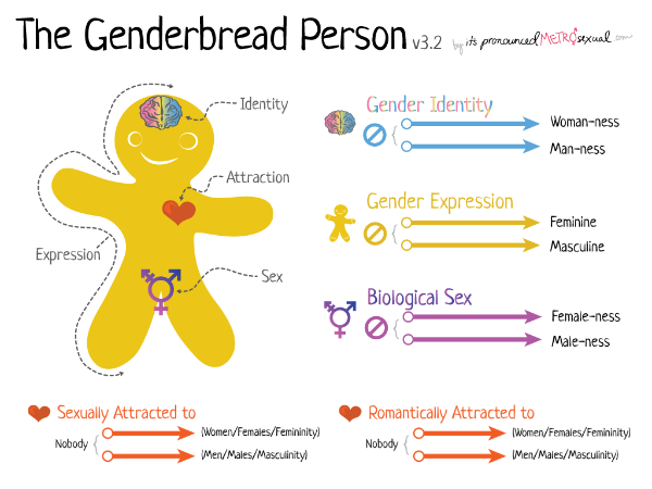 Genderbread Person